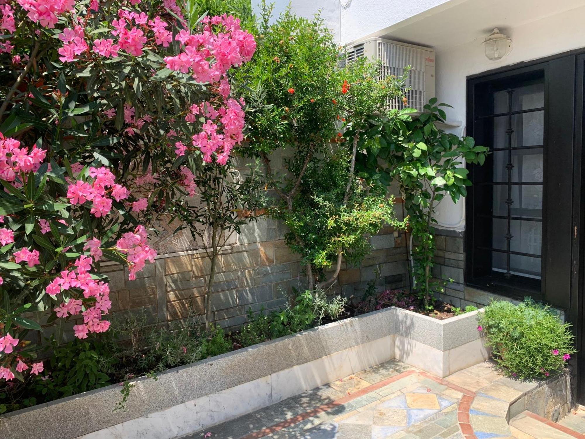 Gemuetliches Appartement In Ano Poli 塞萨洛尼基 外观 照片